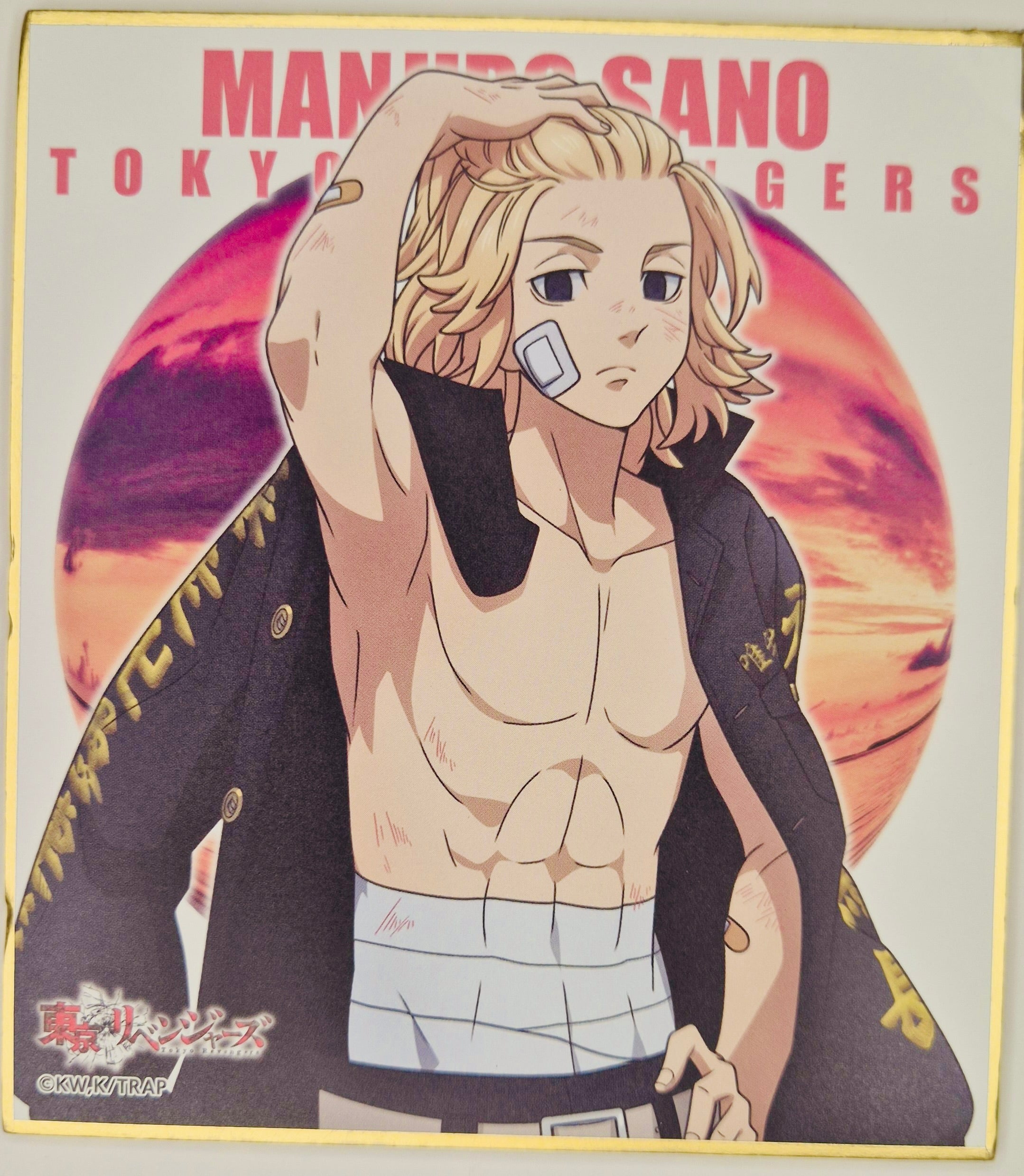 Tokyo Revengers Mikey Shikishi Board 2