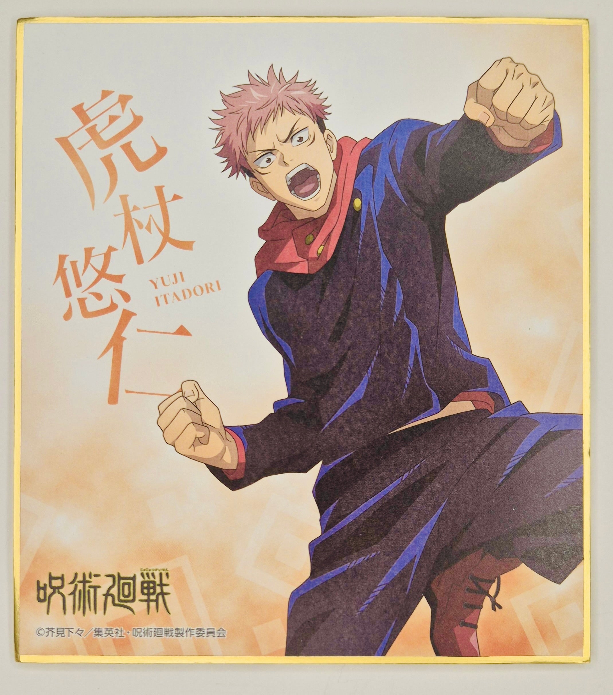 Jujutsu Kaisen Yuta Collector Shikishi Board JP