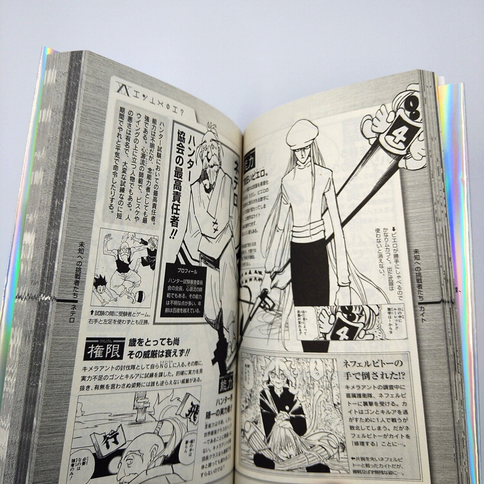 HUNTER x HUNTER Hunter's Guide Data Book Japanese Book (RARE)