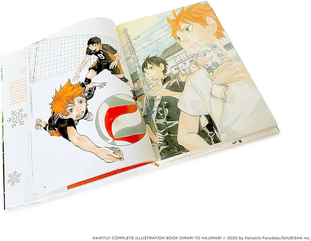The art Haikyuu!! Endings and Beginnings