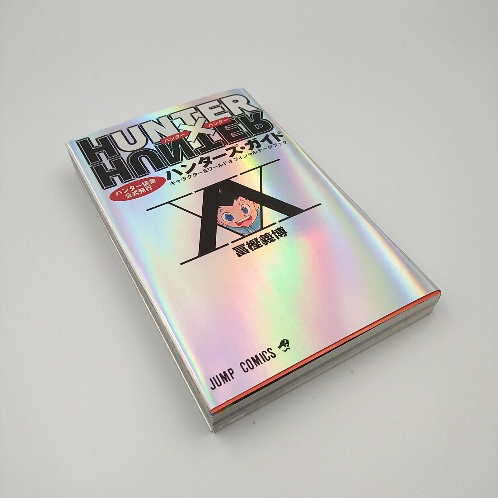 HUNTER x HUNTER Hunter's Guide Data Book Japanese Book (RARE)