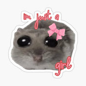 I’m Just a Girl Mouse Meme Plushie