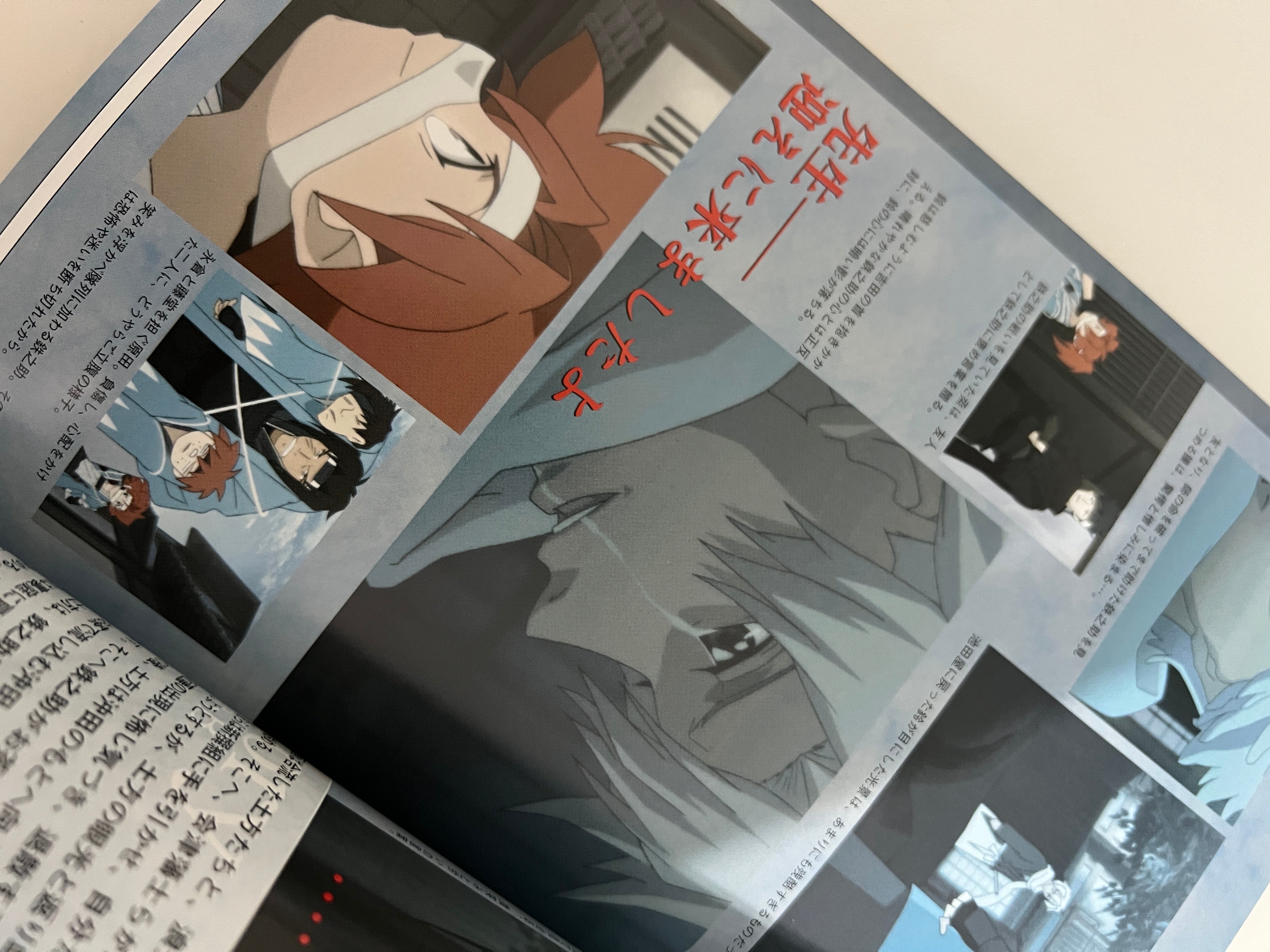 PEACE MAKER KUROGANE TV Anime Perfect Guide 2 صانع السلام