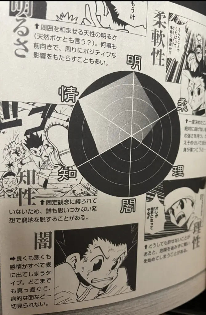HUNTER x HUNTER Hunter's Guide Data Book Japanese Book (RARE)