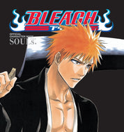 Bleach Official Character Book - SOULS English