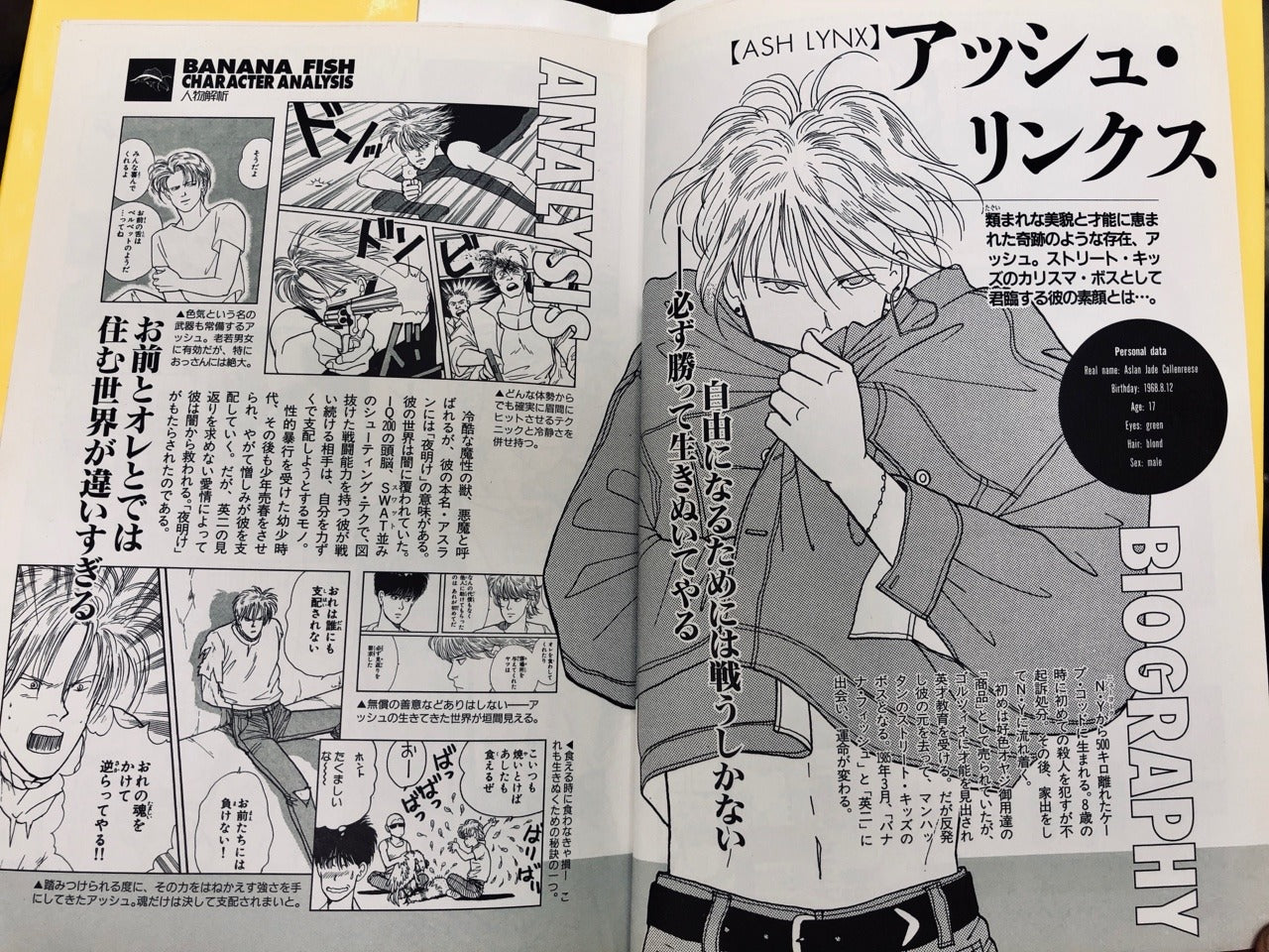 Banana Fish: Official Japanese Guidebook (RARE)