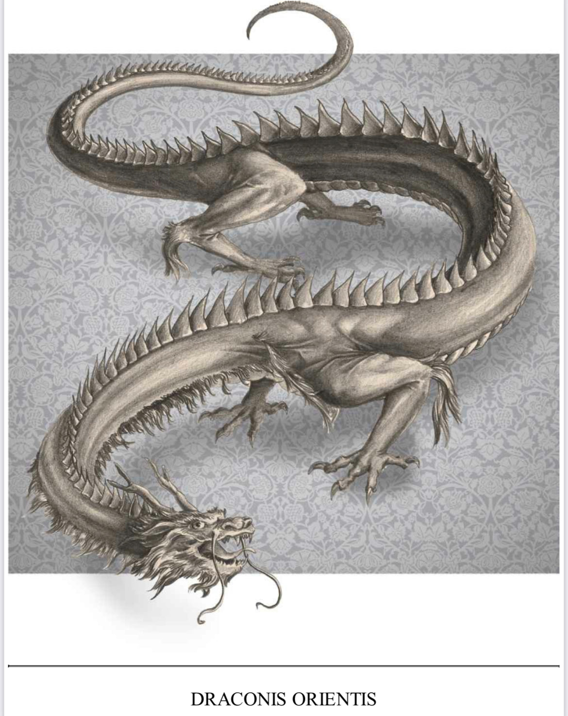 The Resurrectionist Hardcover artbook