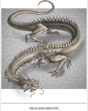 The Resurrectionist Hardcover artbook