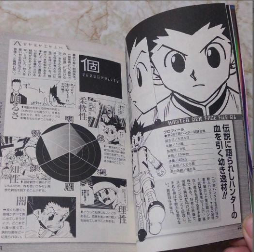 HUNTER x HUNTER Hunter's Guide Data Book Japanese Book (RARE)