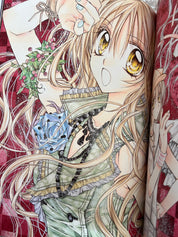Gentlemen Alliance Cross official Artbook by Tanemura Arina