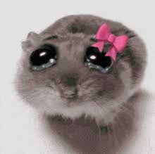 I’m Just a Girl Mouse Meme Plushie