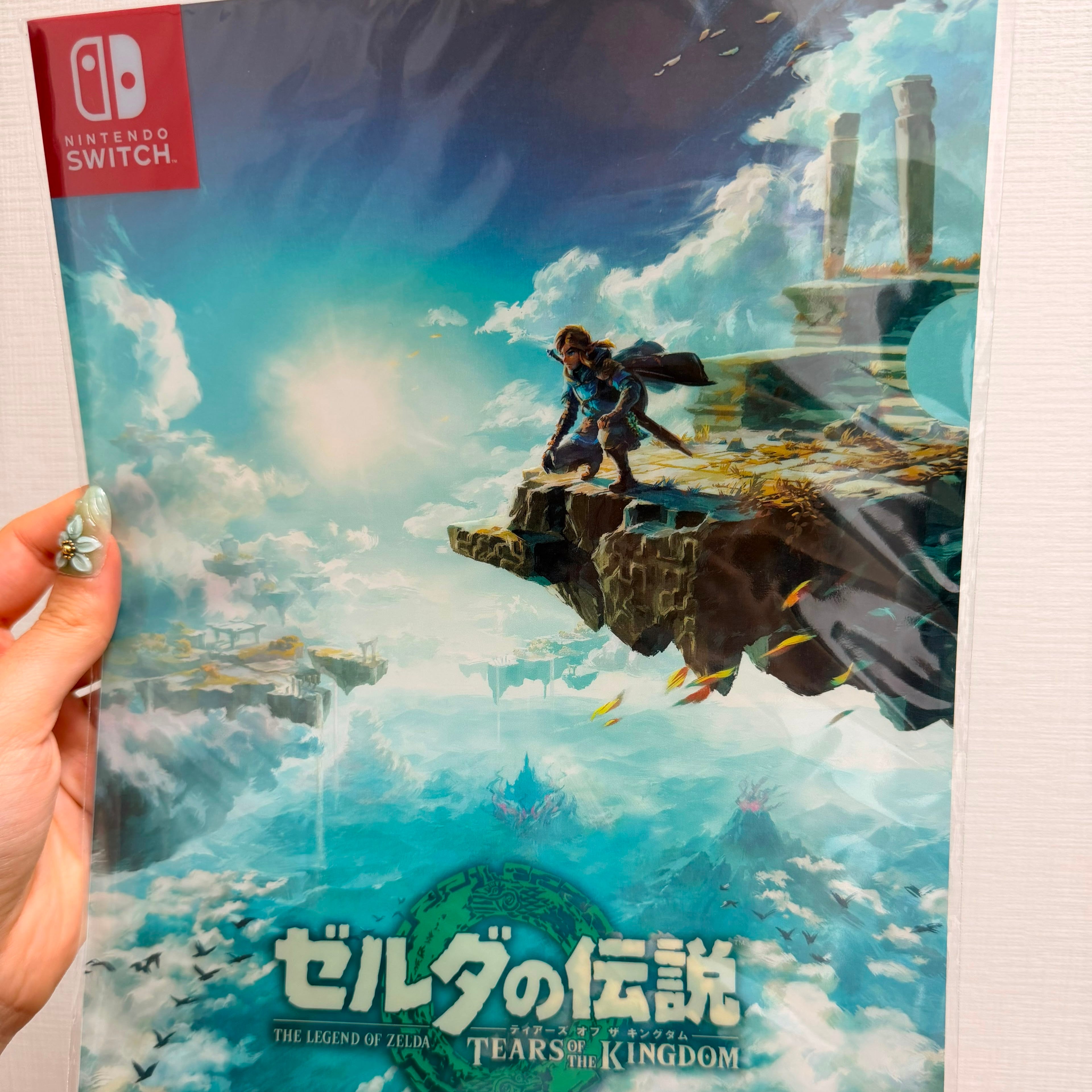 The Legend of Zelda: Tears of the Kingdom Offical A4 Folder JP