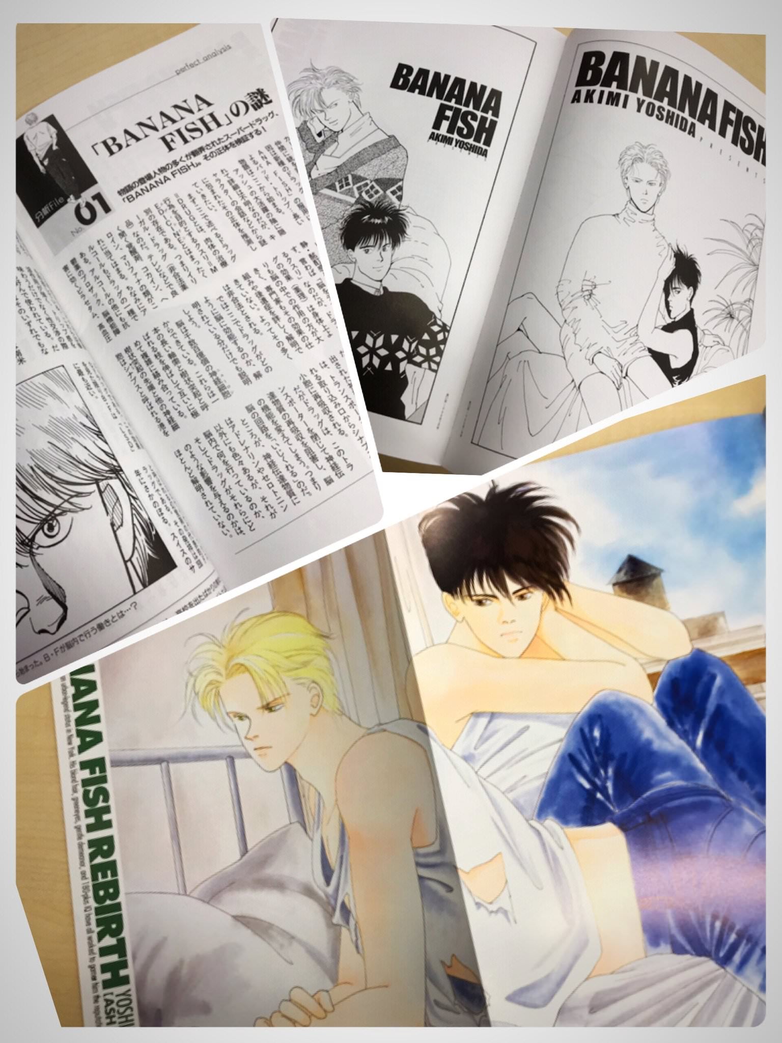 Banana Fish: Official Japanese Guidebook (RARE)