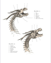 The Resurrectionist Hardcover artbook
