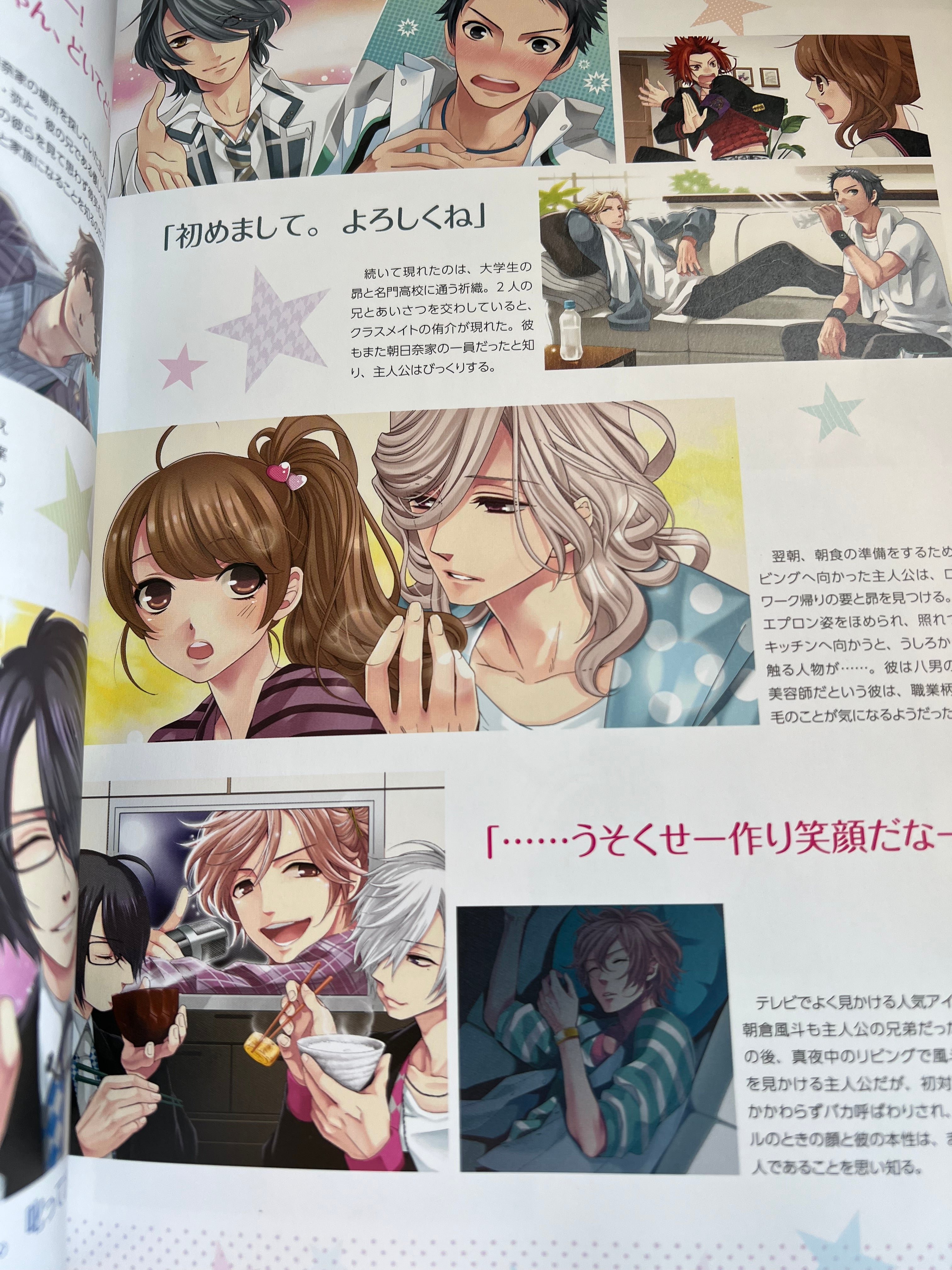 Brother Conflict Visual Artbook