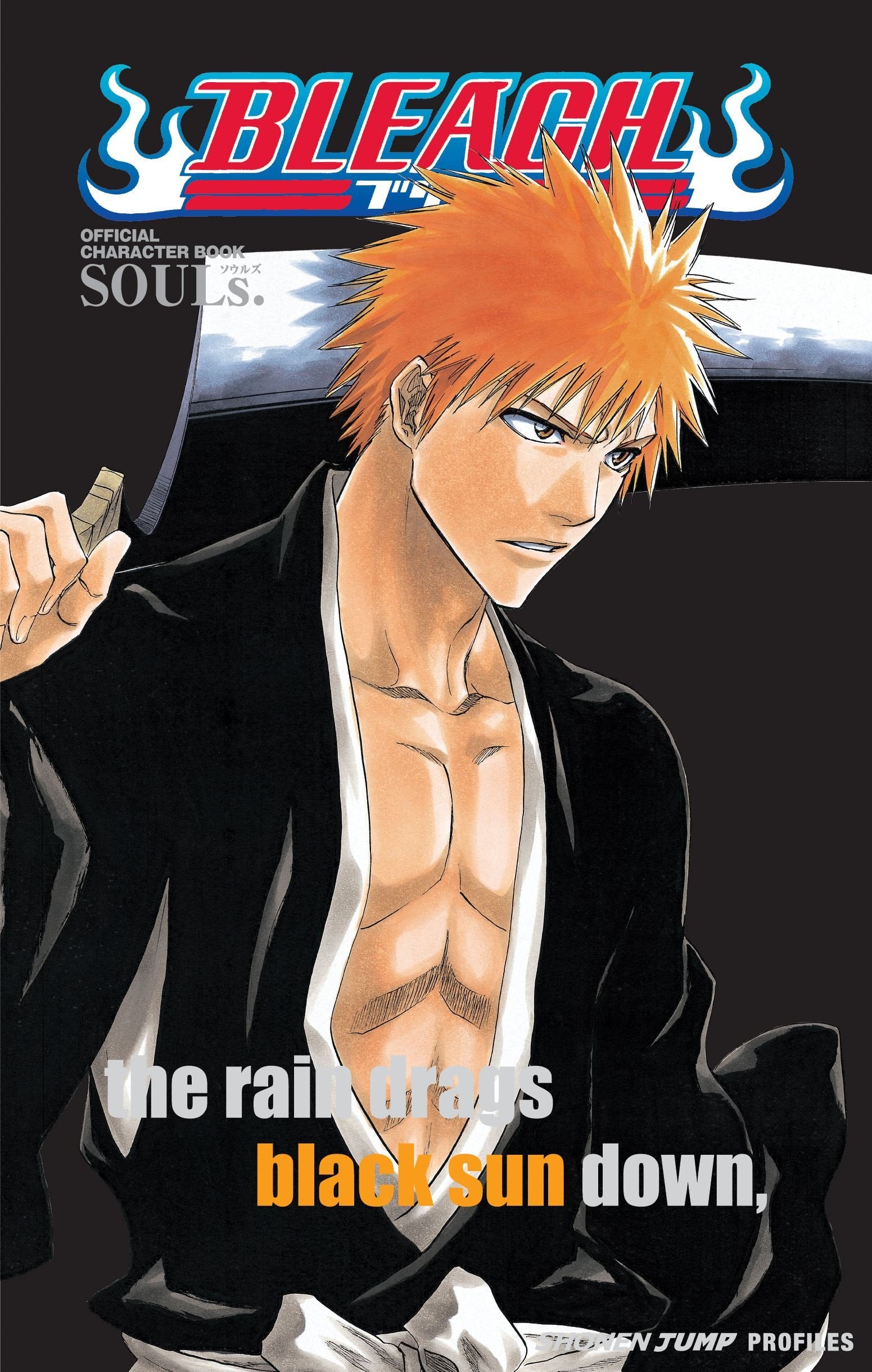 Bleach Official Character Book - SOULS English