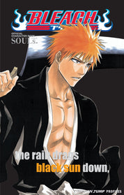 Bleach Official Character Book - SOULS English