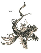 The Resurrectionist Hardcover artbook