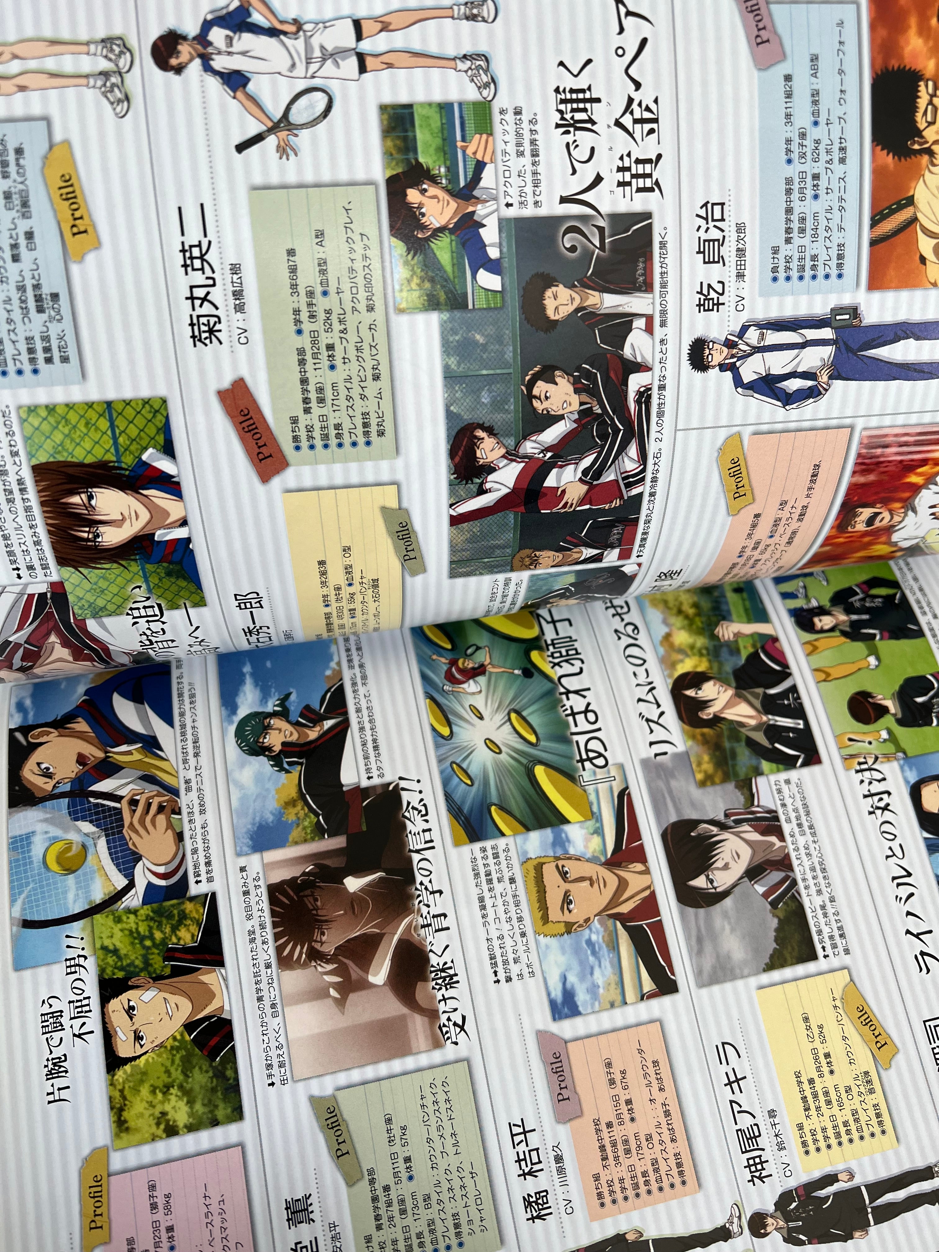 Prince Of Tennis Official Anime Artbook