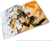 The art Haikyuu!! Endings and Beginnings