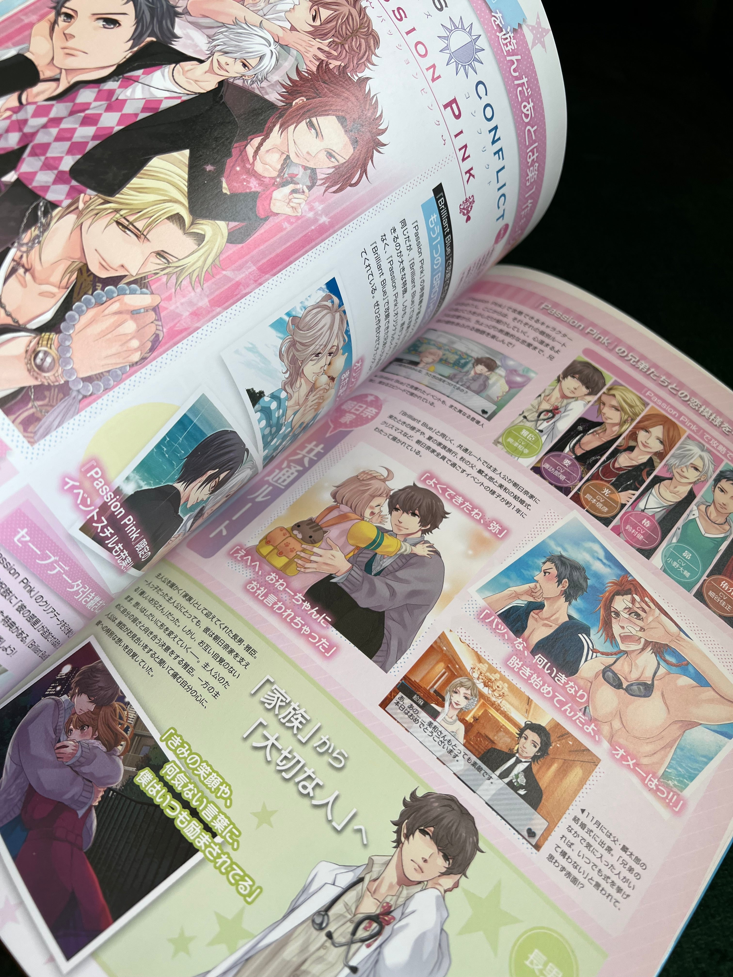Brother Conflict Visual Artbook