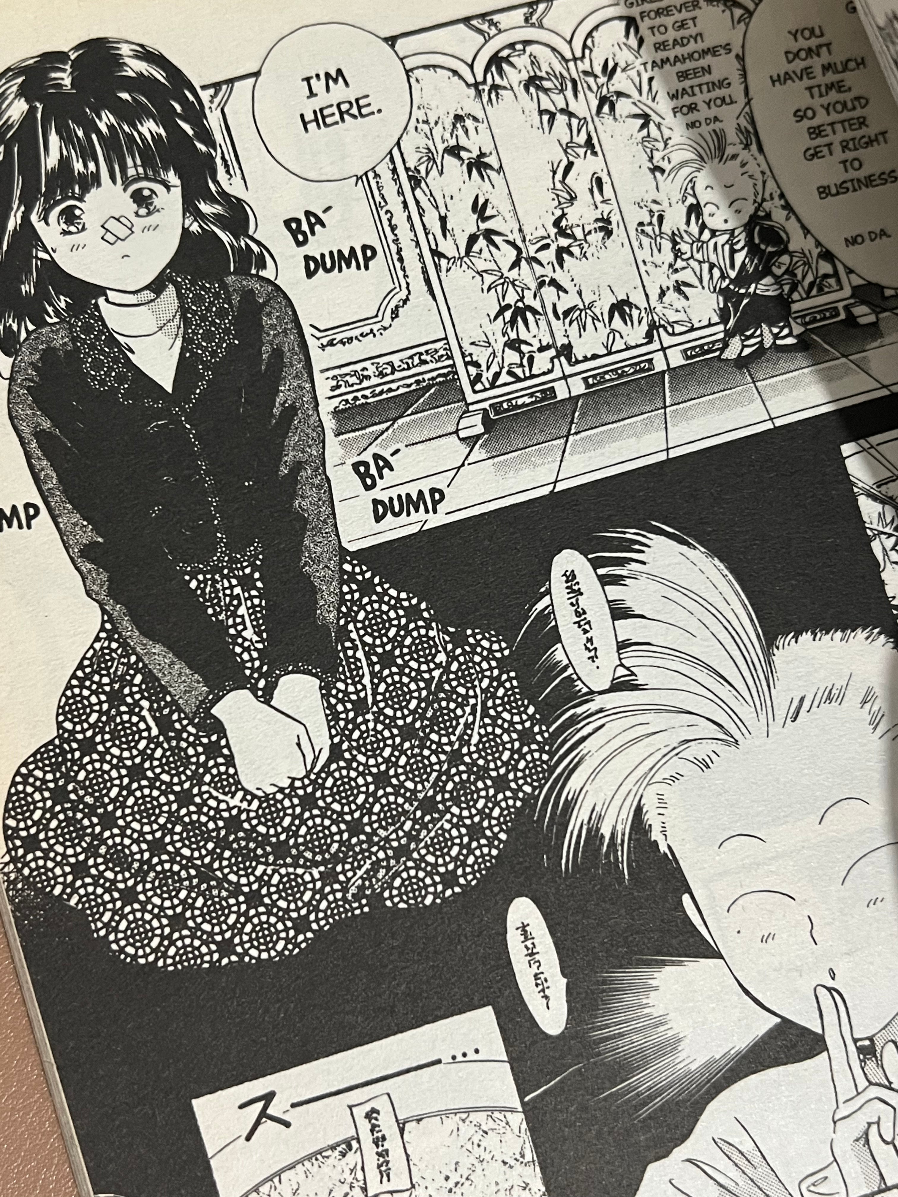 Fushigi Yuugi: Single Volumes