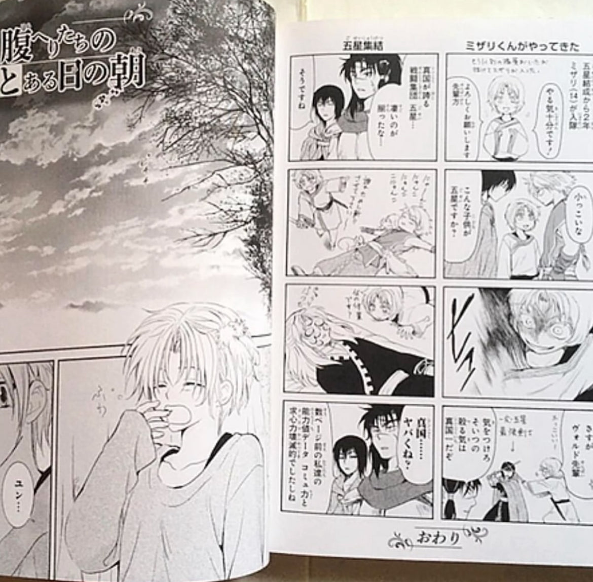 Yona Of The Dawn Official Character Guide - Japanese (RARE)
