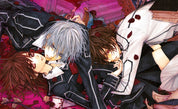 Vampire Knight: Artbook