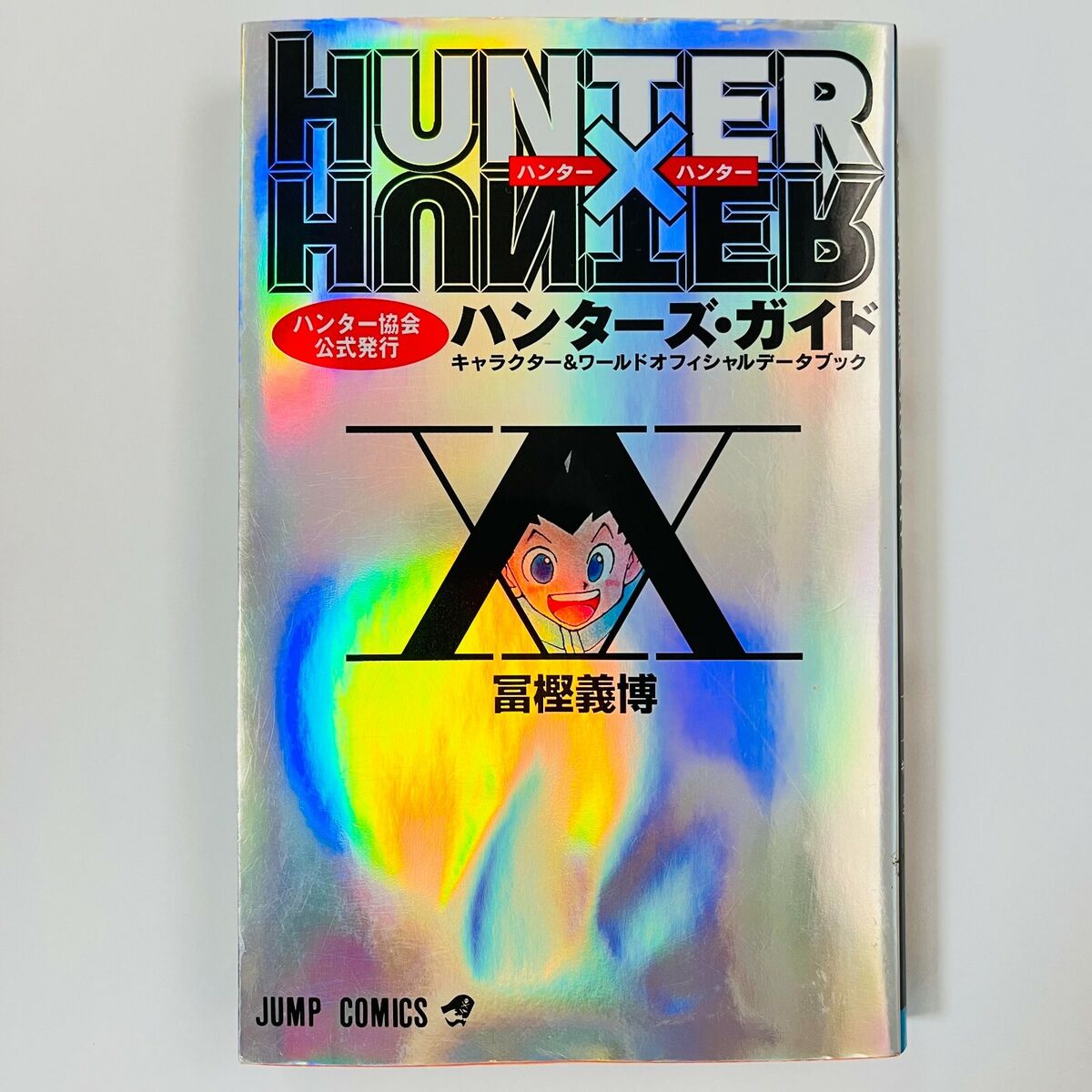 HUNTER x HUNTER Hunter's Guide Data Book Japanese Book (RARE)
