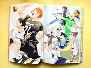 The art Haikyuu!! Endings and Beginnings