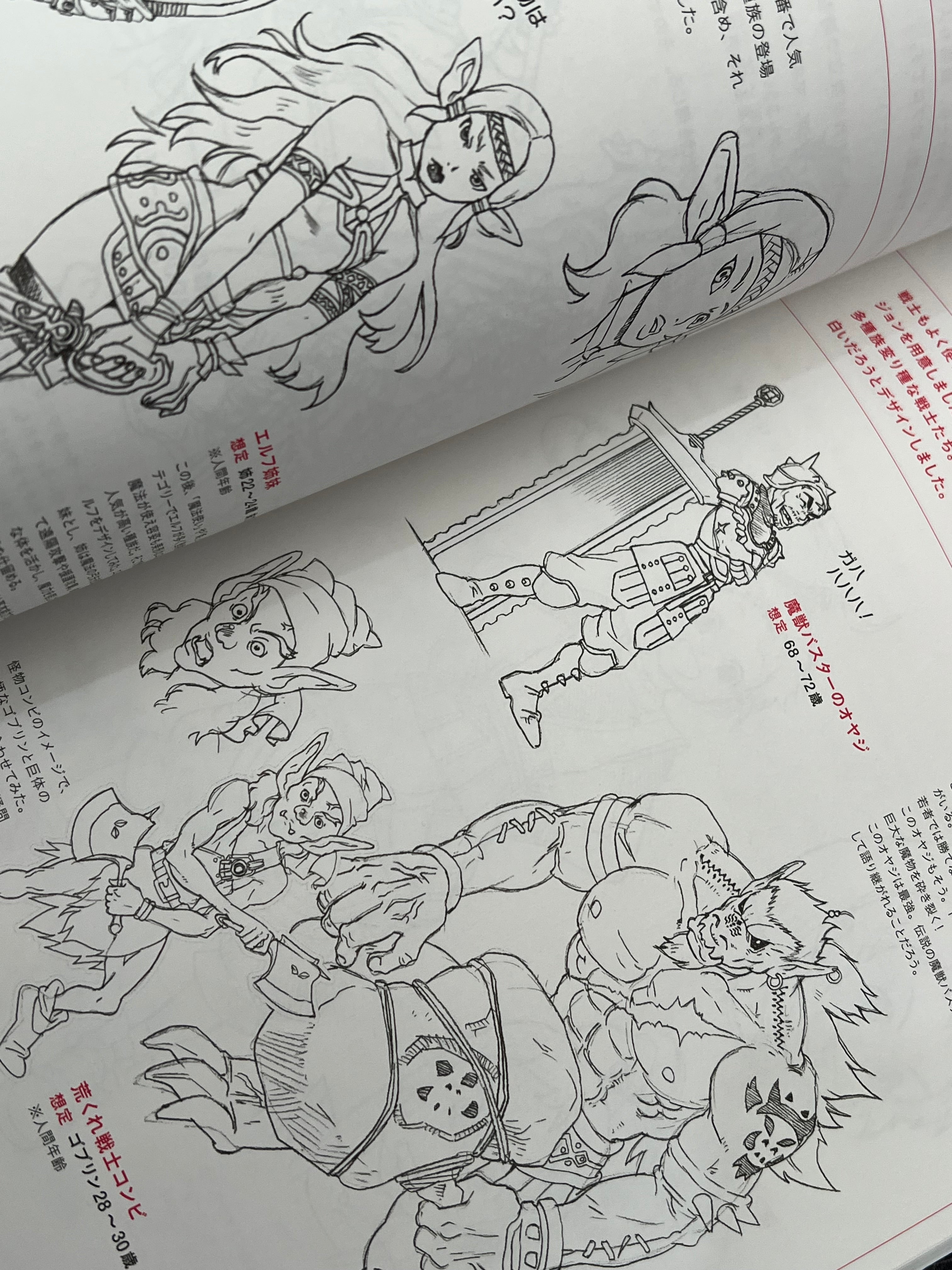 Character Design Mihoncho Book