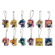 Chainsaw Man Acrylic Keychain Blind Bag (1 Random Keychain)