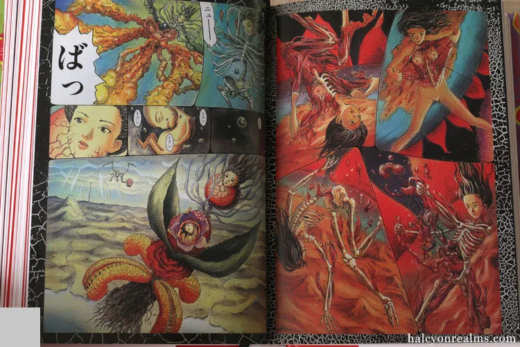 100 Manga Artists Guidebook Hardcover