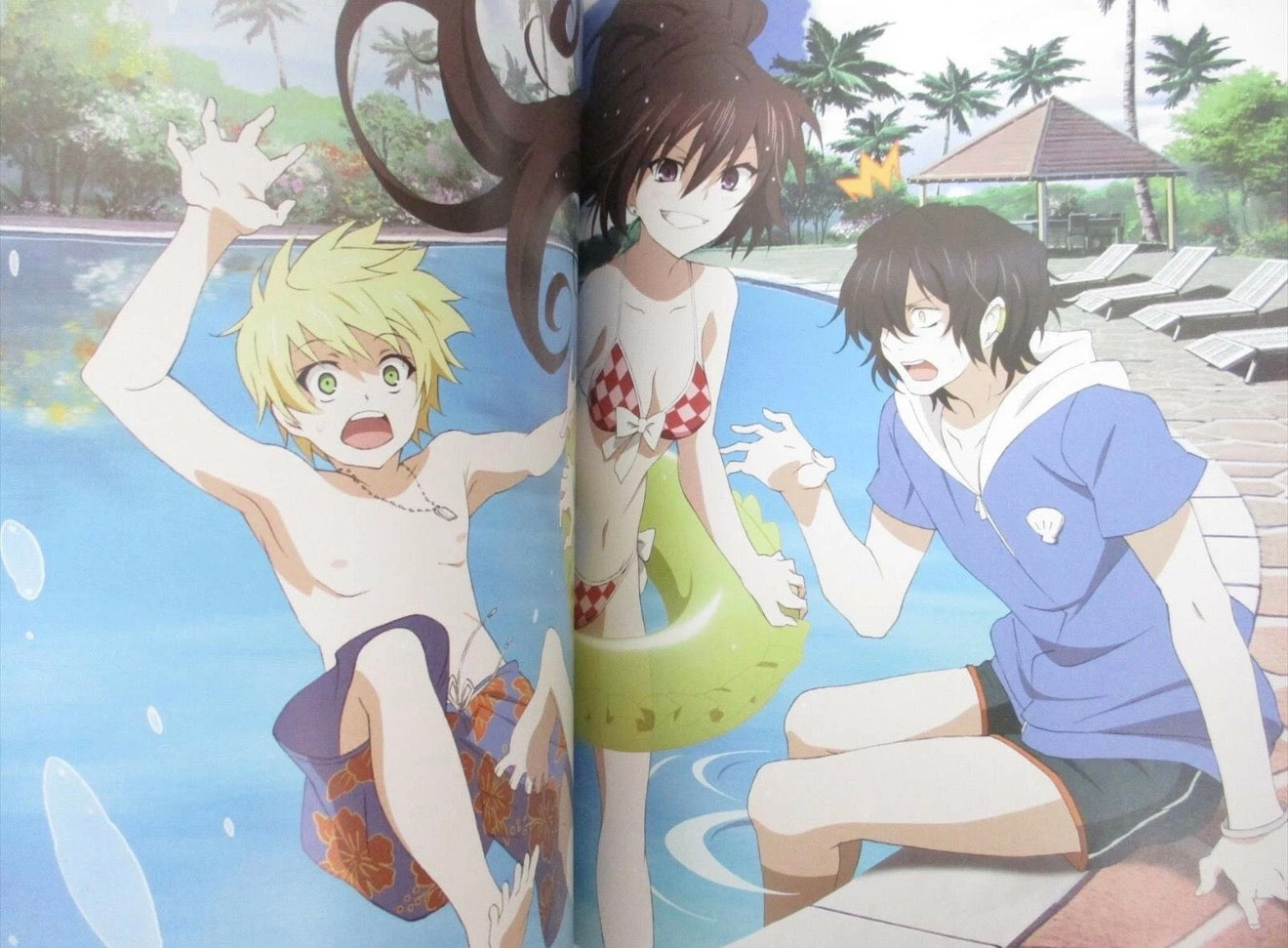 Pandora Hearts Official Anime Guidebook JP Rare