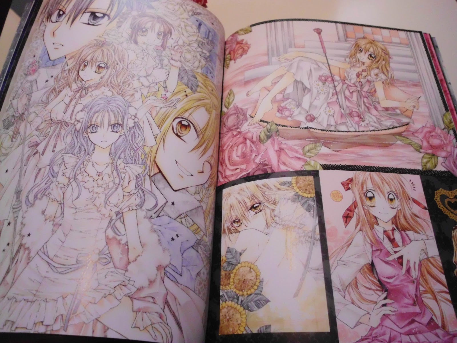 Tanemura Arina Hardcover Artbook English RARE out of print
