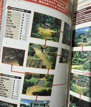 Inuyasha: Playstation Game Official Complete Guidebook - Japanese