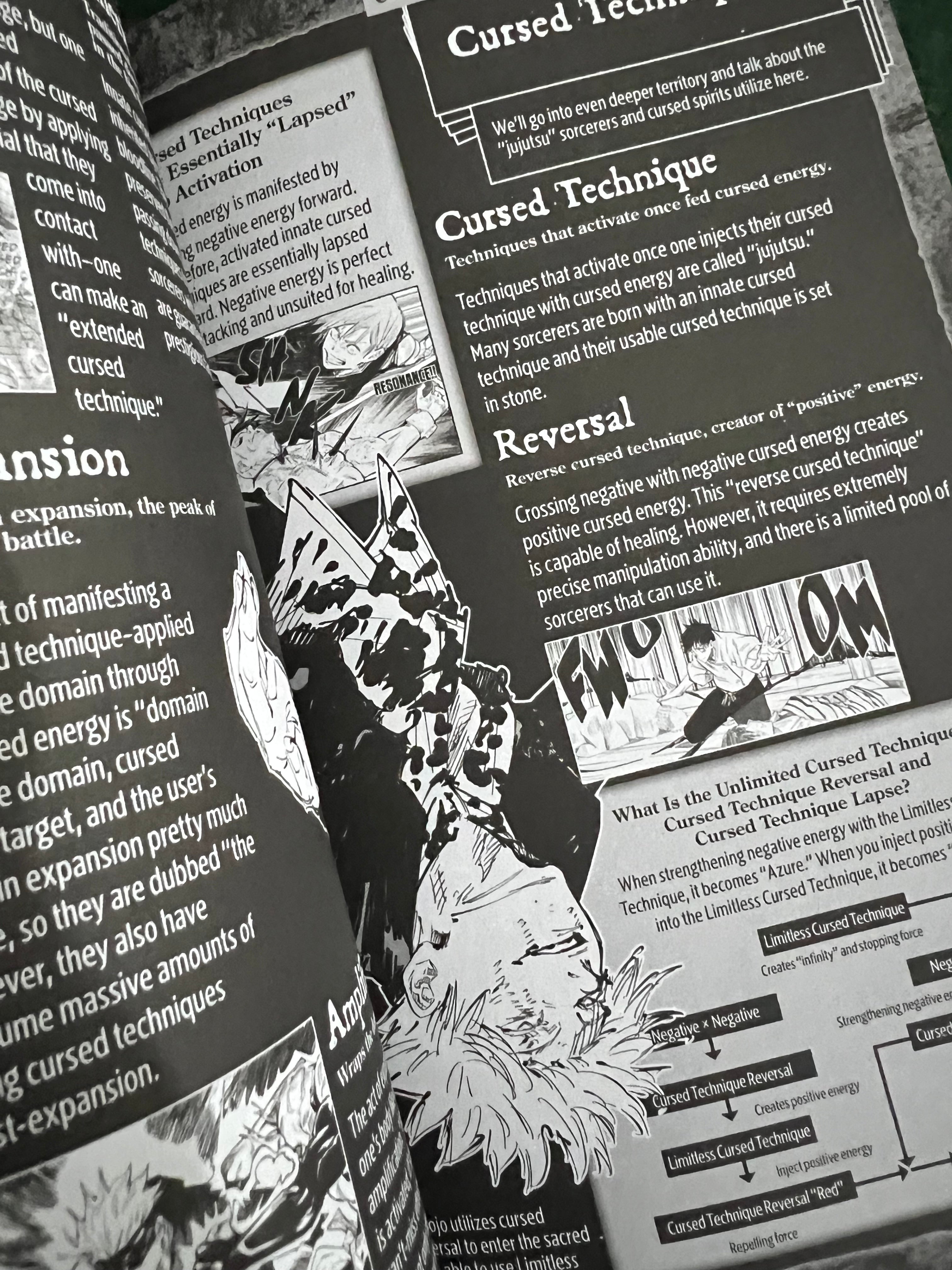 Jujutsu Kaisen Official Character Guide