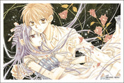 Tanemura Arina Hardcover Artbook English RARE out of print
