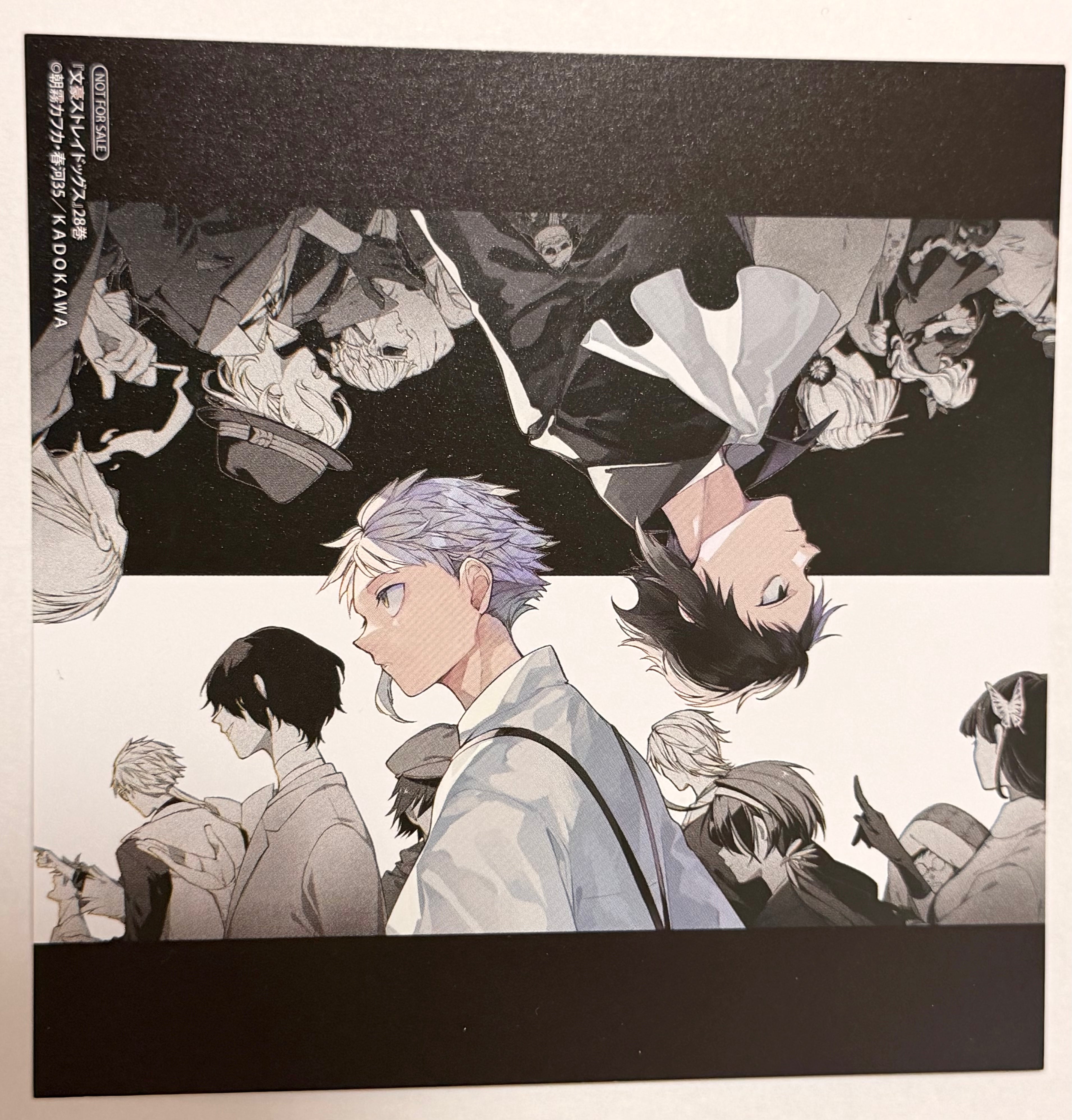 Bungo Stray Dogs Official Collector Postcard 3