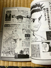 HUNTER x HUNTER Hunter's Guide Data Book Japanese Book (RARE)