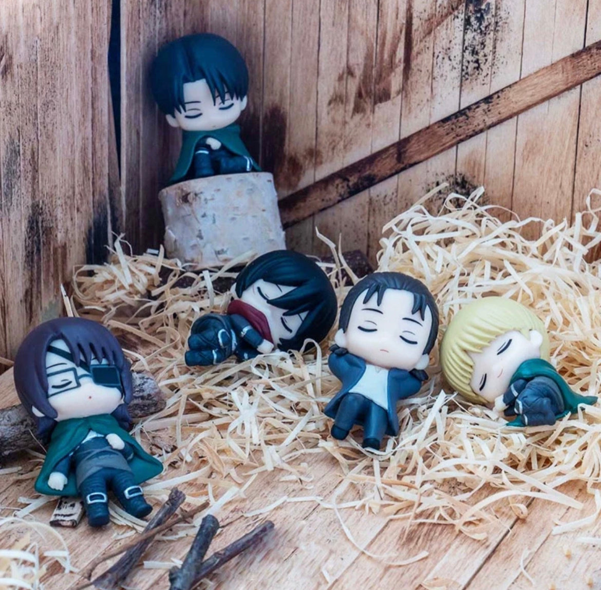 Attack on Titan Sleeping Capsules - Final Season Edition