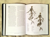 The Resurrectionist Hardcover artbook
