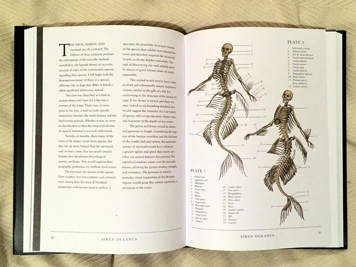 The Resurrectionist Hardcover artbook