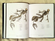 The Resurrectionist Hardcover artbook