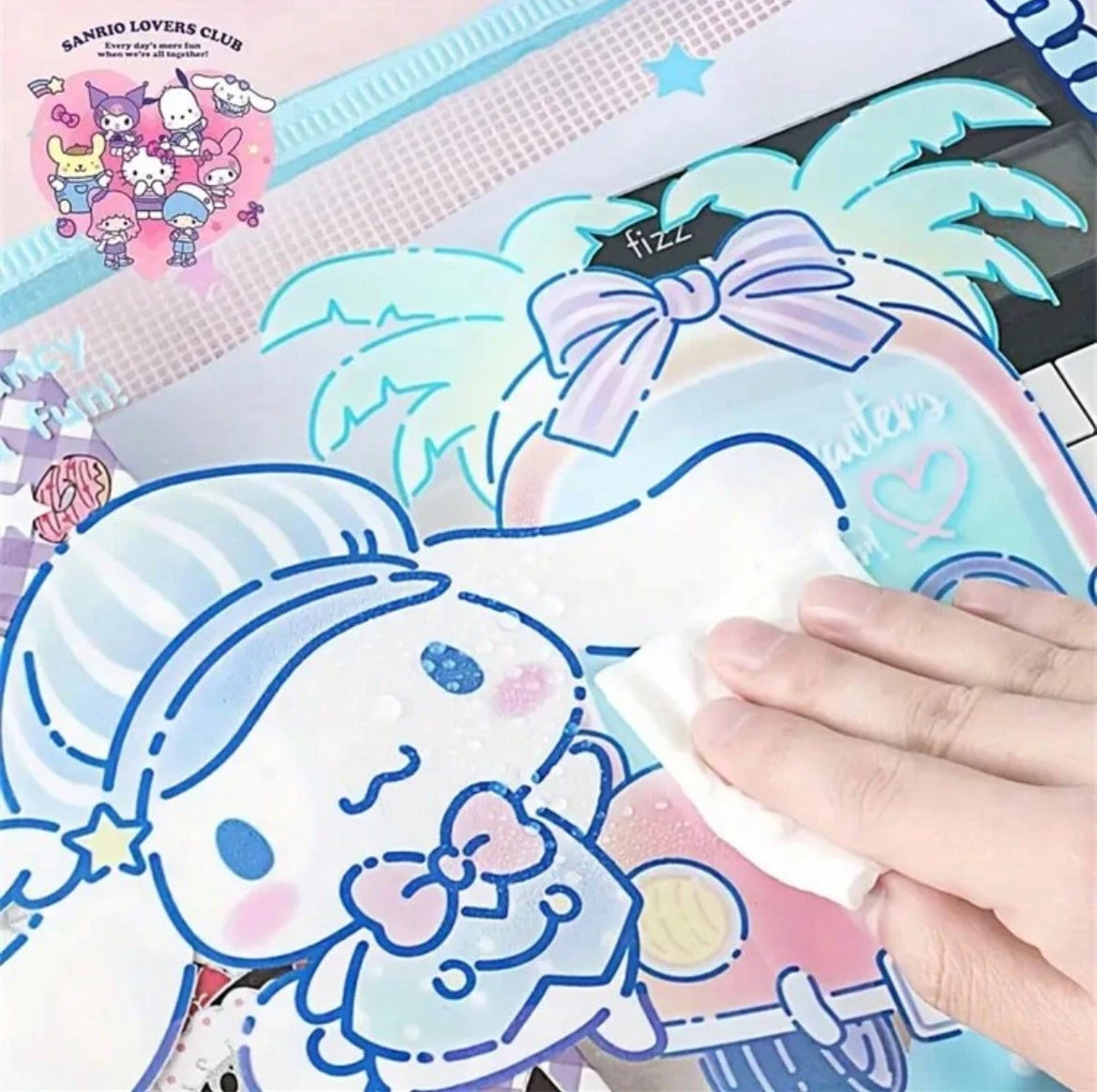 Sanrio Mesh pouch Pencil Case
