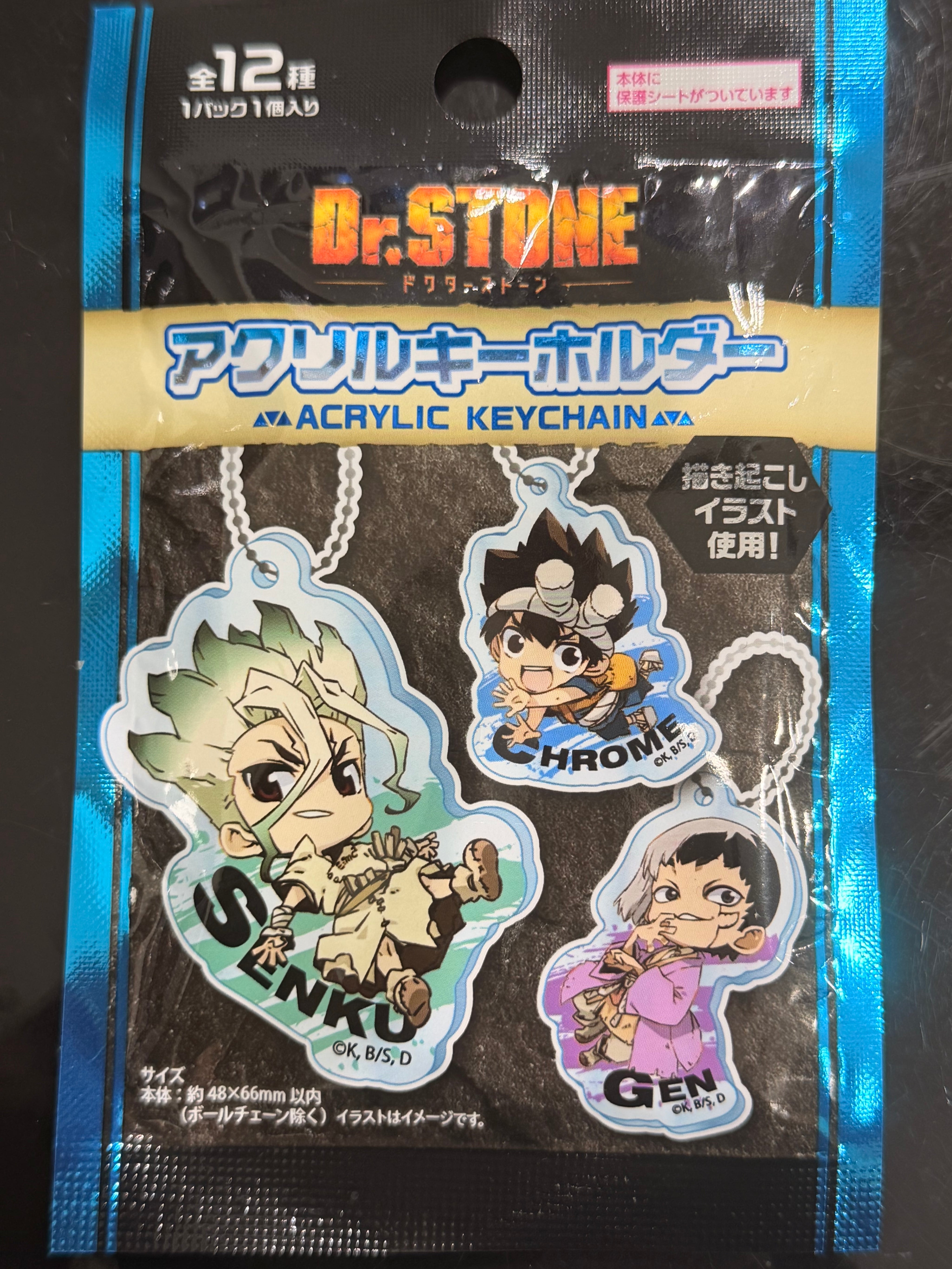 Dr. stone Collector Acrylic Keychain Blind Bag (1 Random Keychain)
