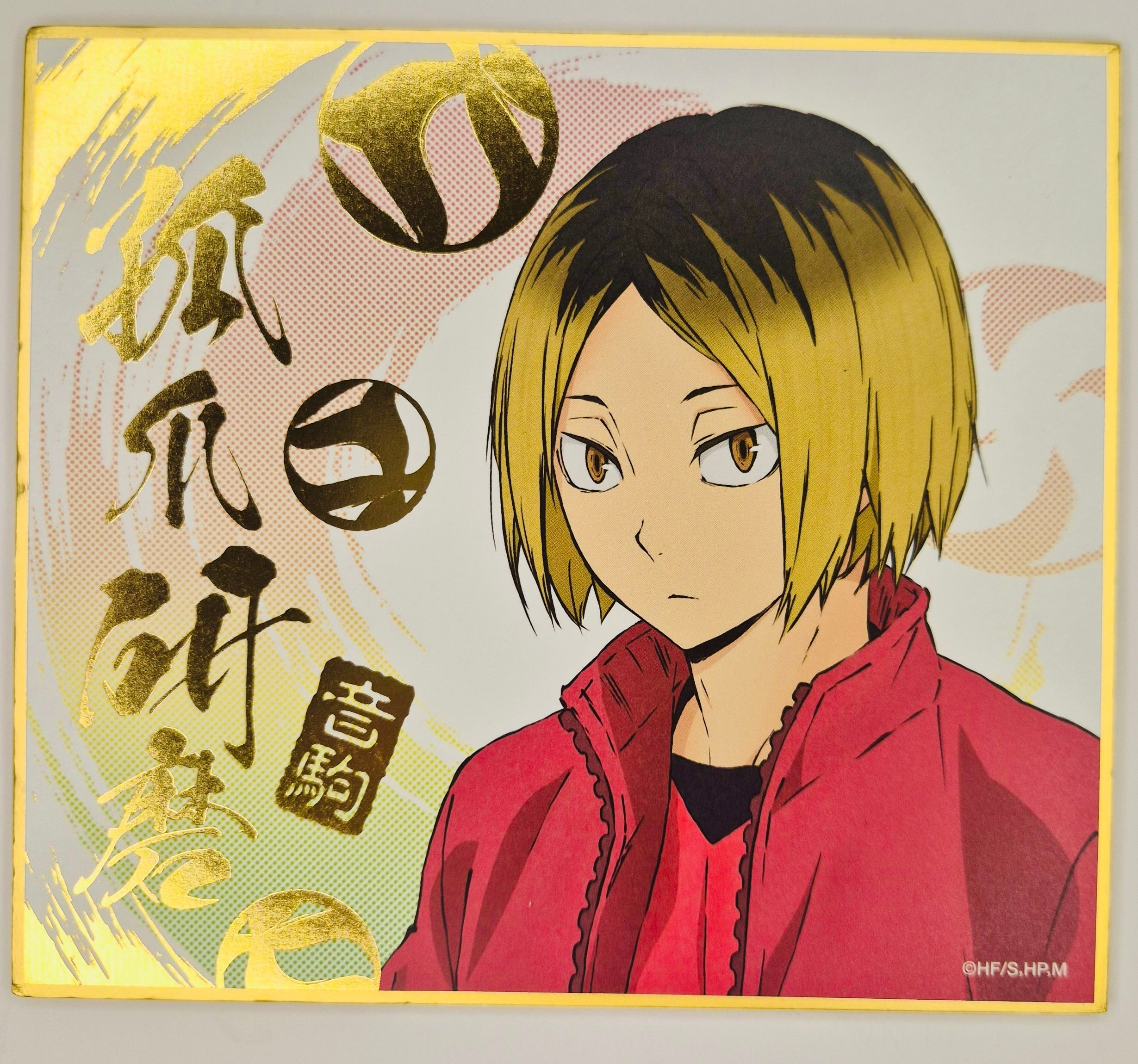 Haikyuu!! kenma Shikishi Board JP
