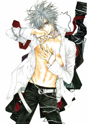 Vampire Knight: Artbook