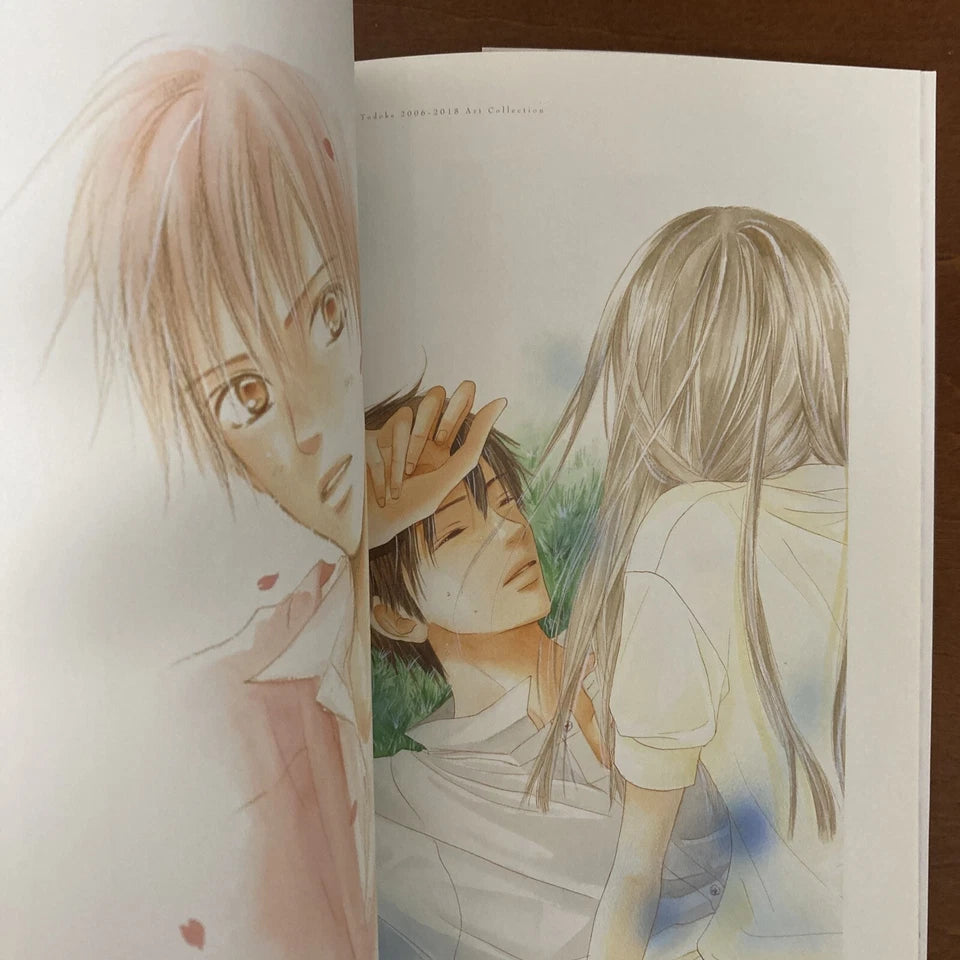 Kimi ni Todoke - "Illustrations: High School Days" Art Book by Shueisha