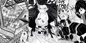 Demon Slayer: Complete Manga Box Set